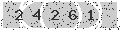 verify code